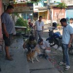 विश्व रेबीज दिवसमा न्यु लाईफ भेट क्लिनिक एण्ड पेट सपको सडक कुकुरलाई निःशुल्क रेबीज खोप